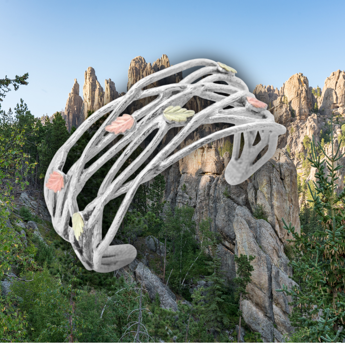 Black Hills