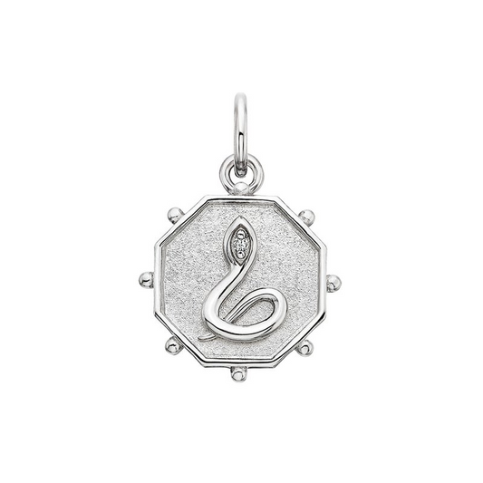 Sterling Silver Snake Charm