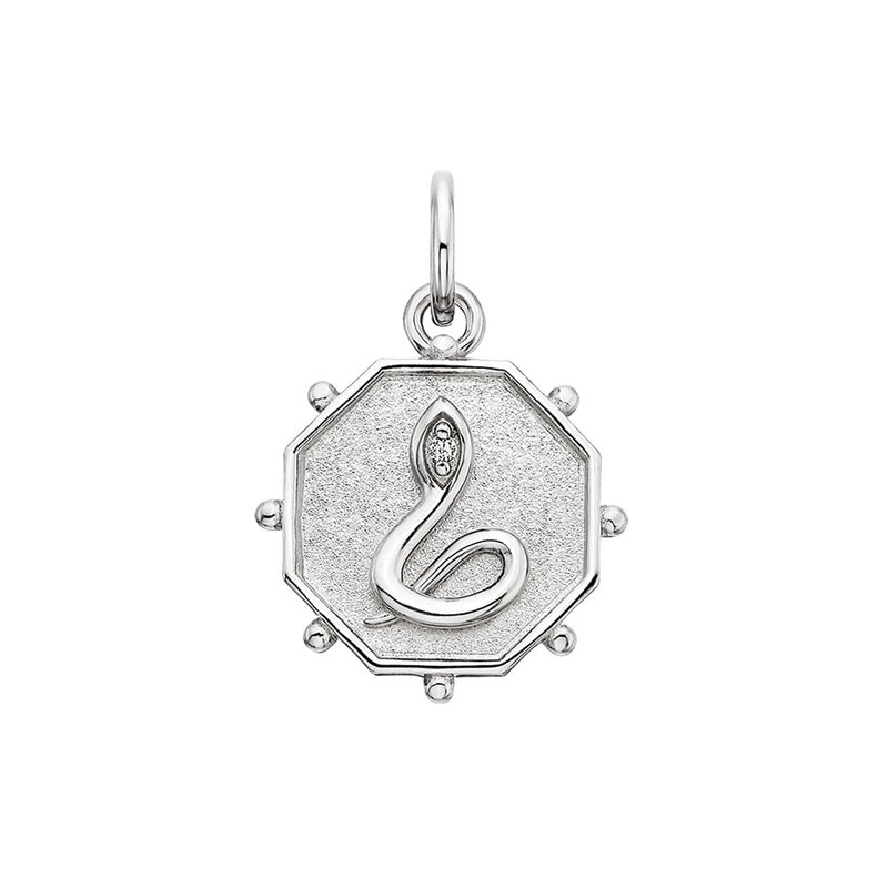 Sterling Silver Snake Charm