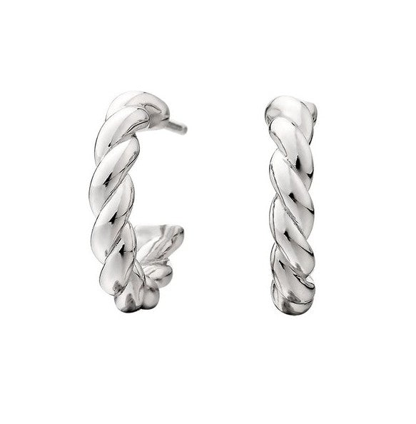 Silver Earring