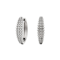 Silver Earring