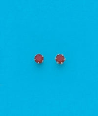 24K Gold Plated Surgical Stainless Steel January Stud