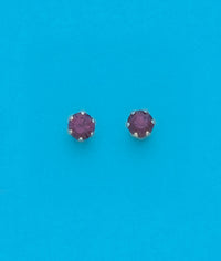24K Gold Plated Surgical Stainless Steel February Stud