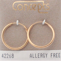 24K Gold Plated Surgical Stainless Steel Hoop