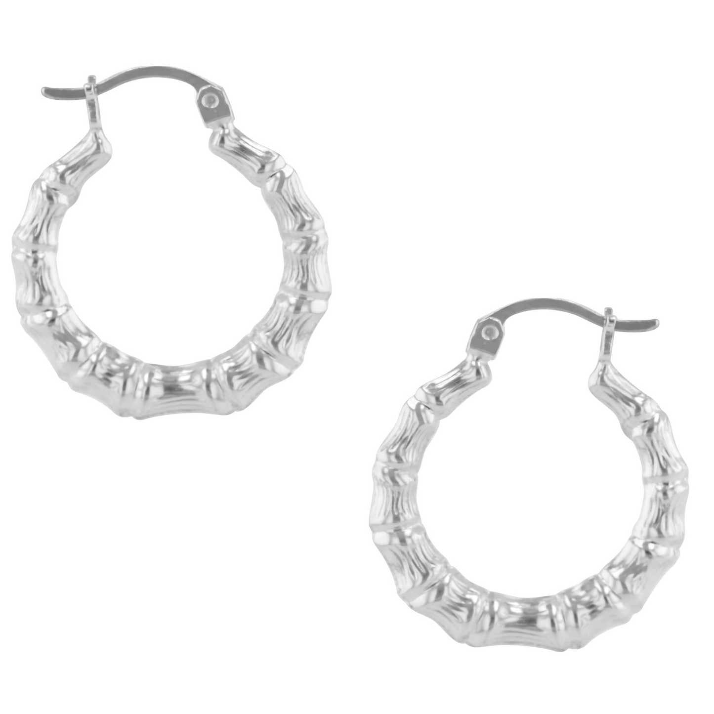 Earrings Hoop