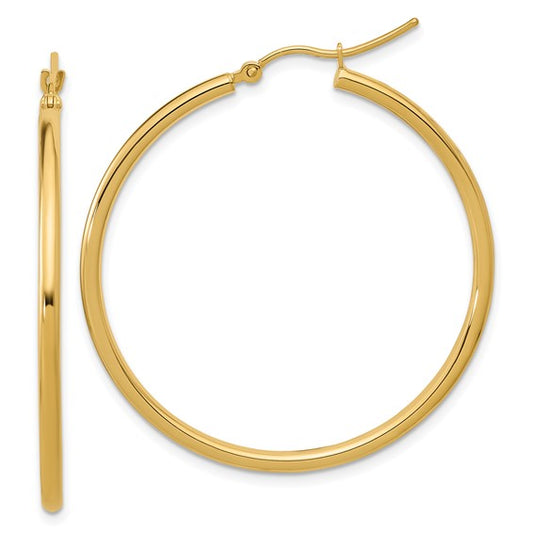 10 Karat Yellow Gold Earrings