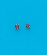 24K Gold Plated Surgical Stainless Steel February Stud