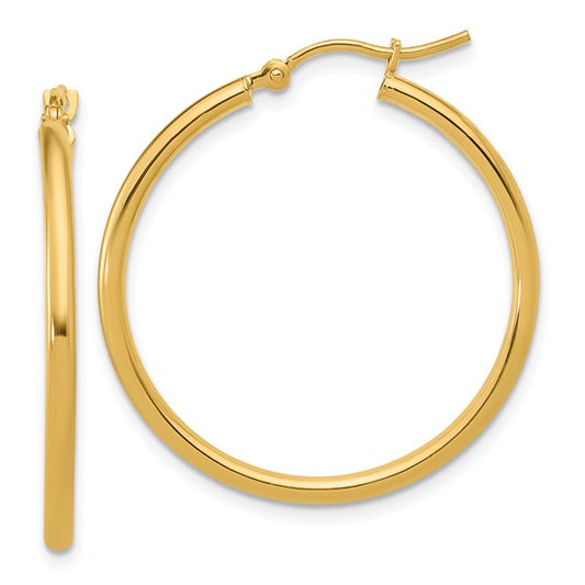 10 Karat Yellow Gold Earrings