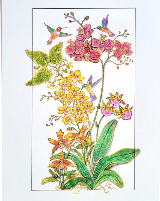Orchids And Hummingbirds